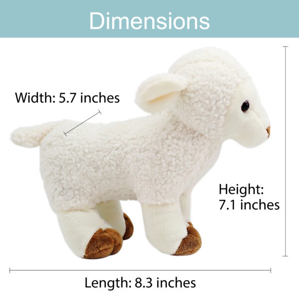 My Little Lamb Dimensions