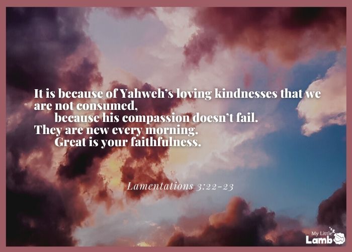 Lamentations 3:22-23 WEB
It is because of Yahweh’s loving kindnesses that we are not consumed,
 because his compassion doesn’t fail.
They are new every morning.
 Great is your faithfulness.