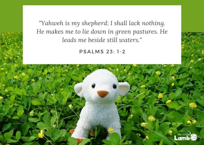 Psalm 23:1-2 “Yahweh is my shepherd: I shall lack nothing. He makes me  lie down in green pastures. He leads me beside still waters.”